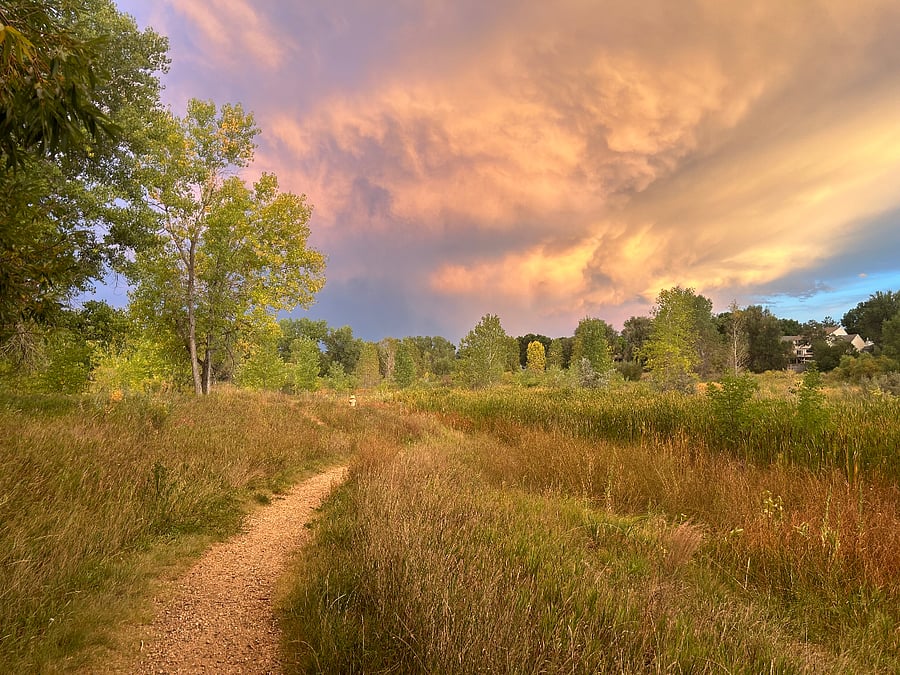 Red Fox Meadow Natural Area -- 2 blocks away!