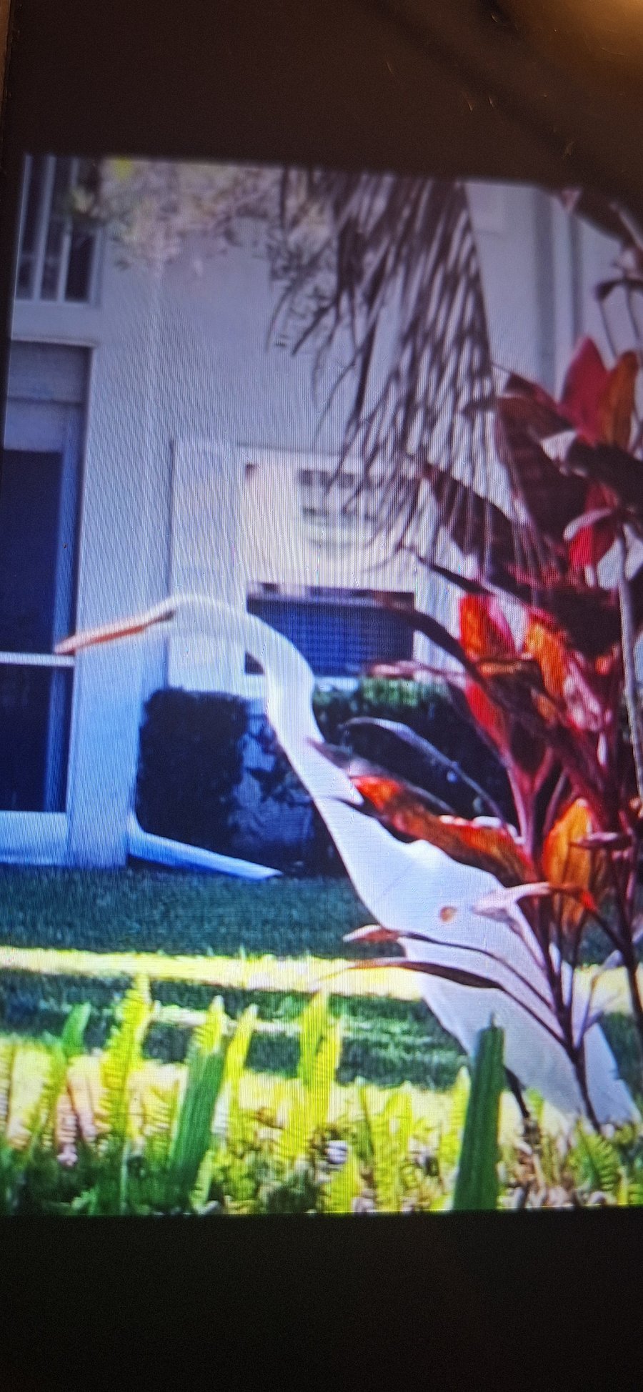 Furnished Finder property 832729_1 photo 1