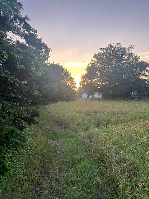 Neighborhood park nearby