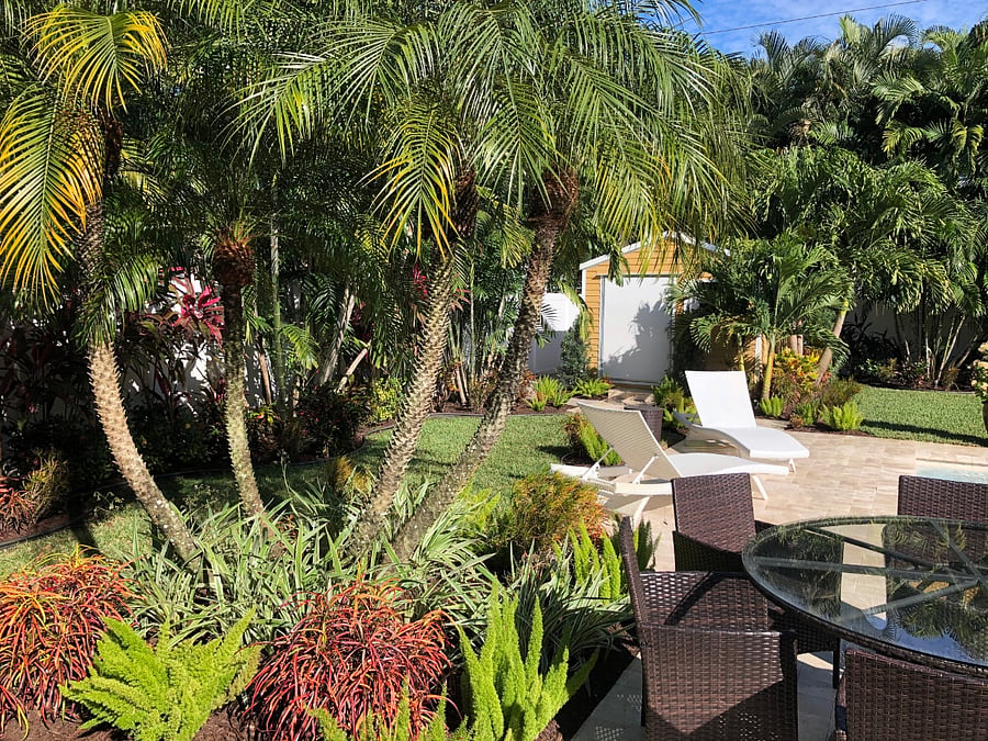 First view of the lush garden as you pass the building