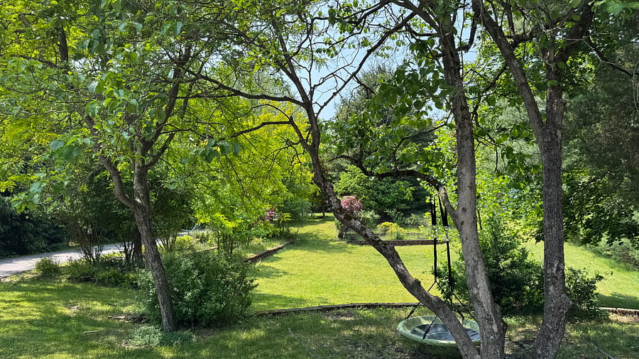 Front yard