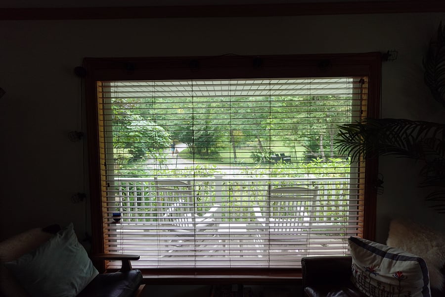 View of front yard from living room window