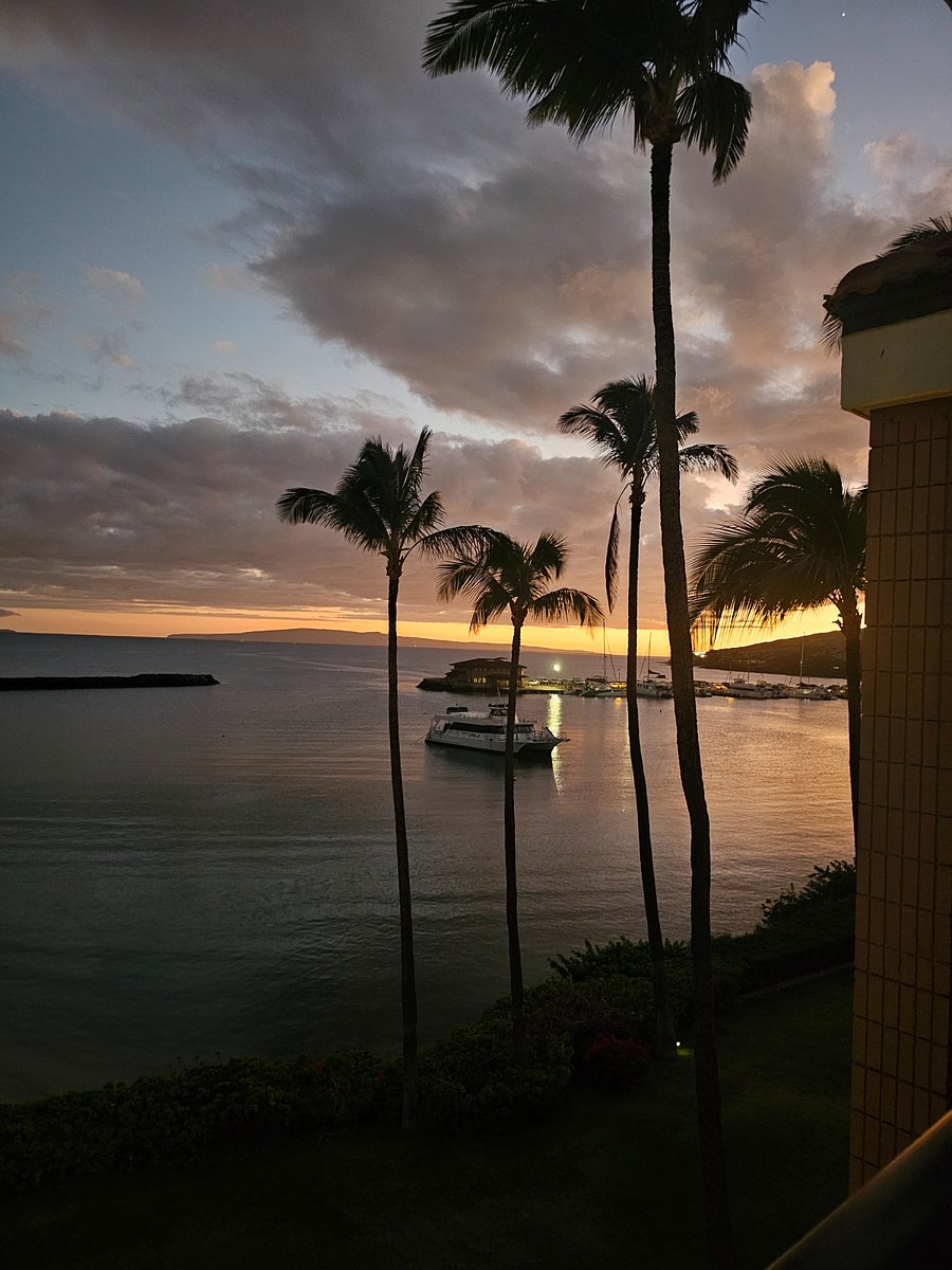 Furnished Finder property 833250_1 photo 17