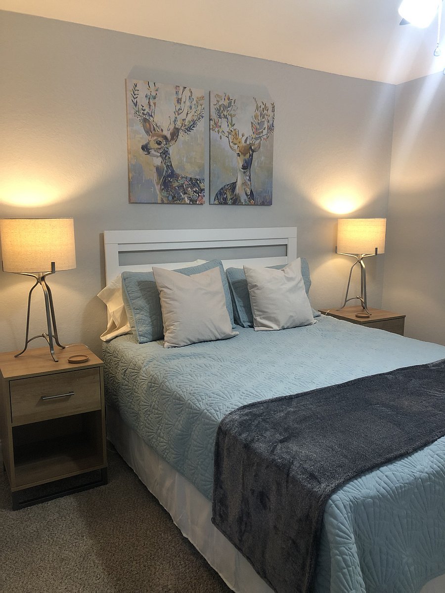 Furnished Finder property 833516_1 photo 16
