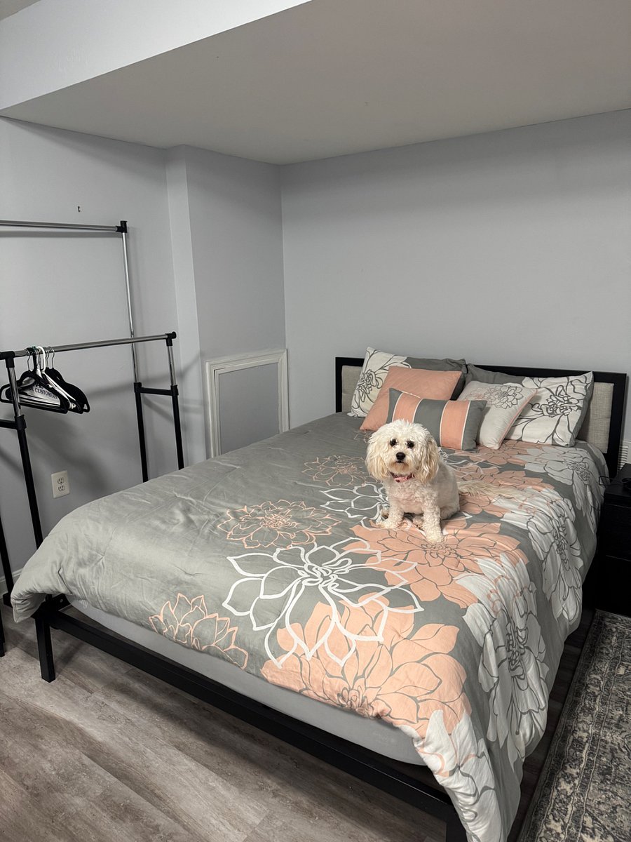 Furnished Finder property 833708_1 photo 2