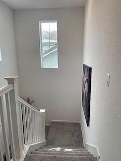 Furnished Finder property 833811_3 photo 13