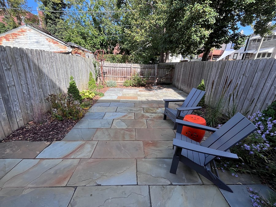 Backyard.