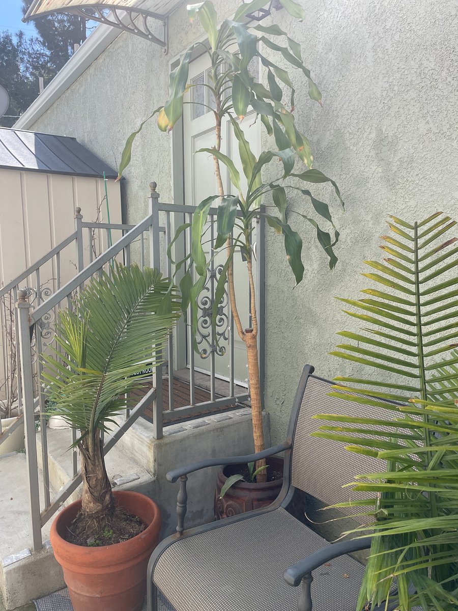 Private entrance to room 