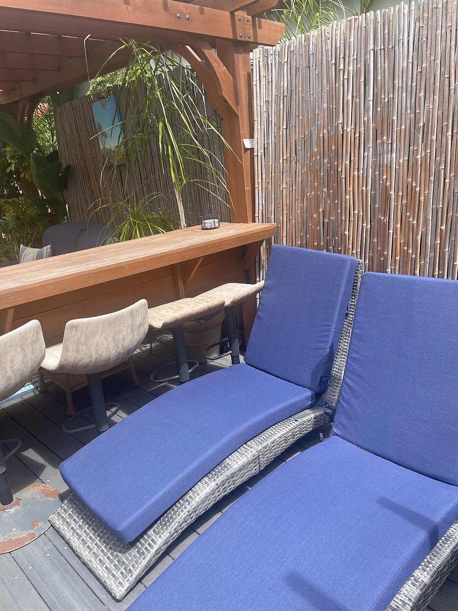 Comfortable Reclining in the Sun