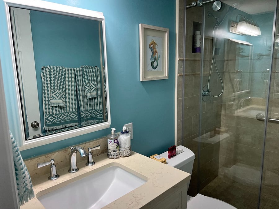 Downstairs bathroom