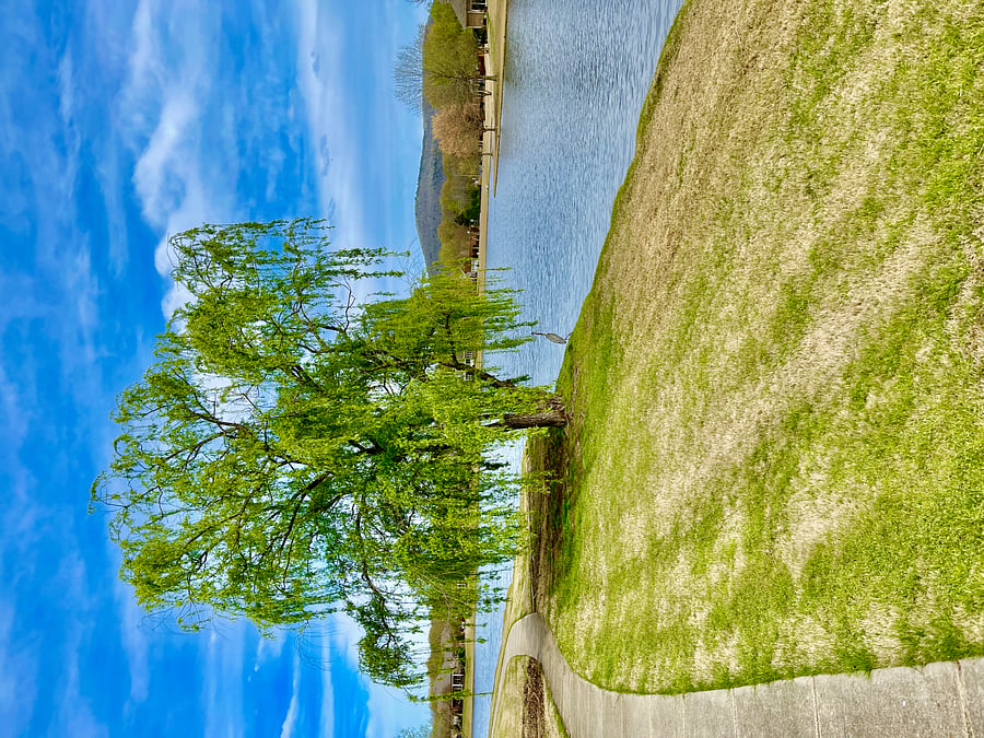 Furnished Finder property 834160_1 photo 8
