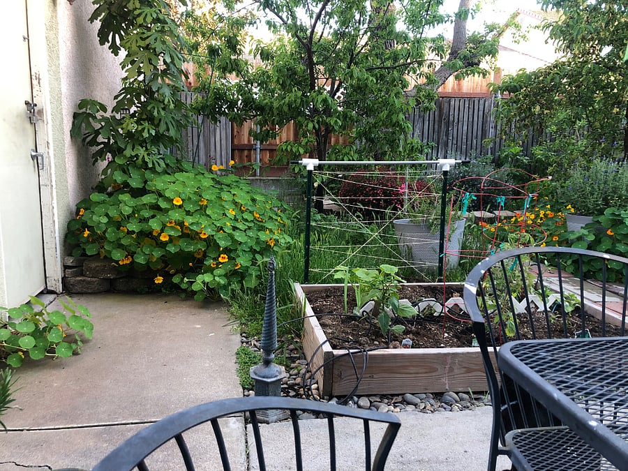 Furnished Finder property 834192_1 photo 7