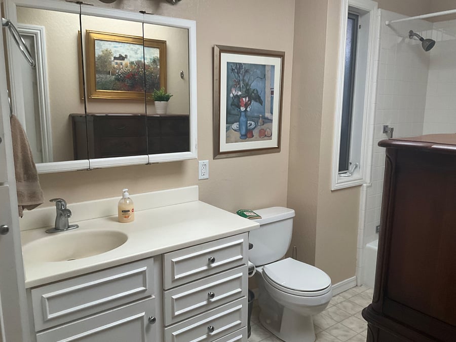 Large bathroom with tub/shower combination 