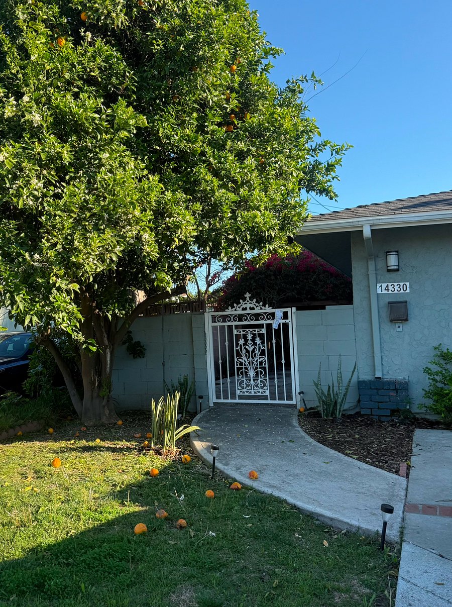 Furnished Finder property 834417_1 photo 9