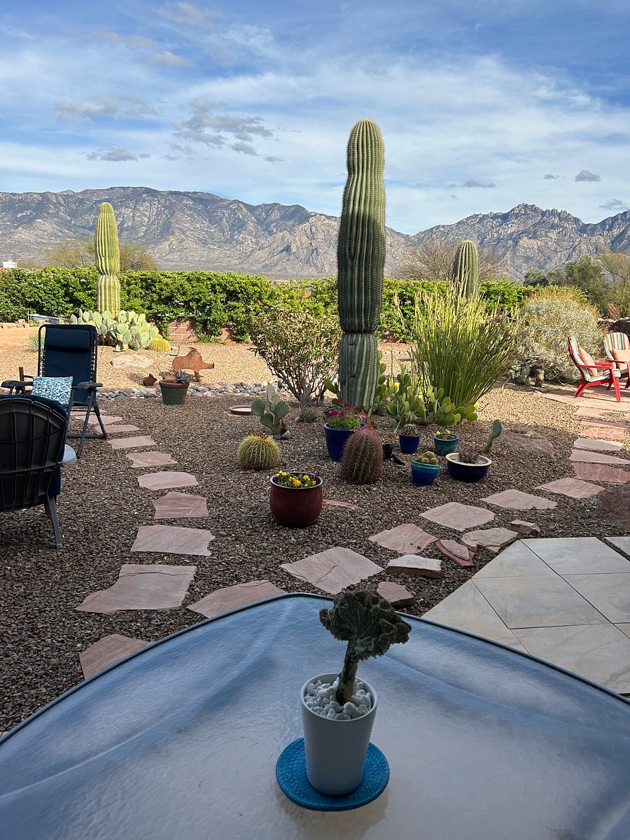 Furnished Finder property 834532_1 photo 20
