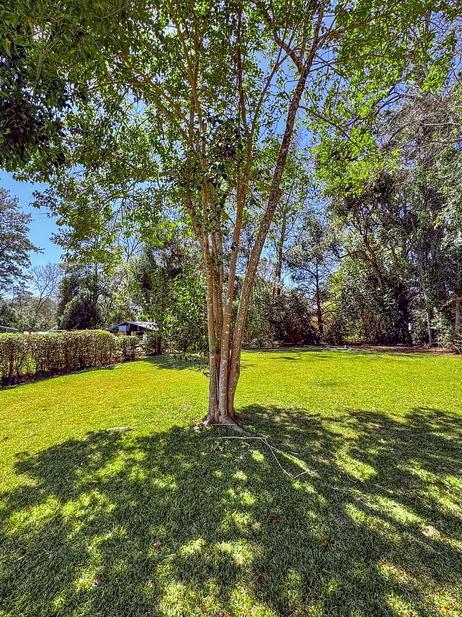 Furnished Finder property 834671_1 photo 9