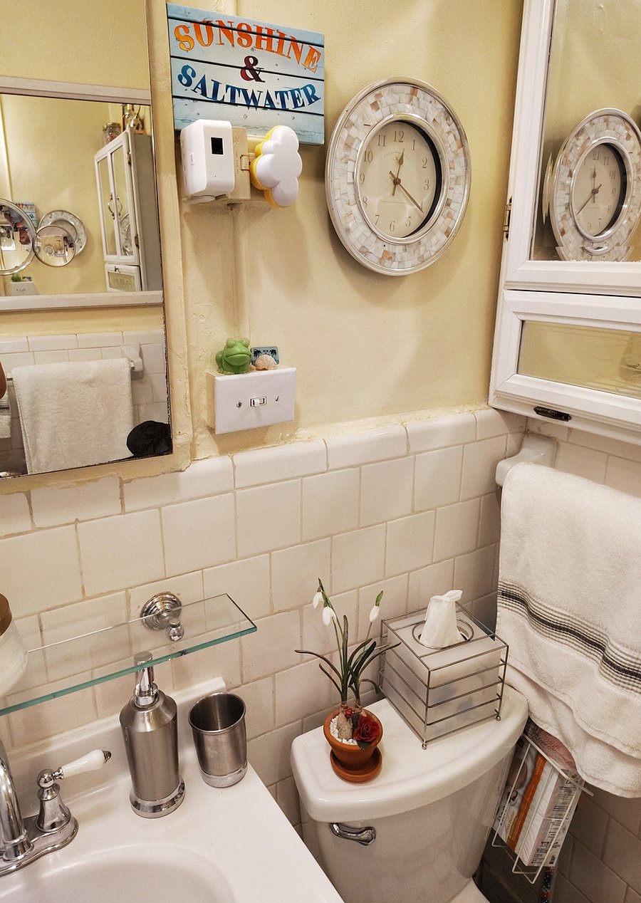 Shared use apartment bathroom.