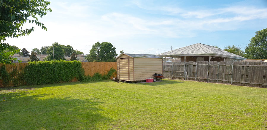 Backyard