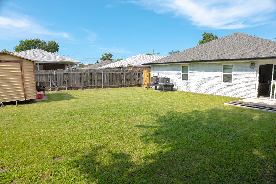 Backyard