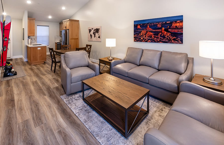 Living room with pullout sofa bed