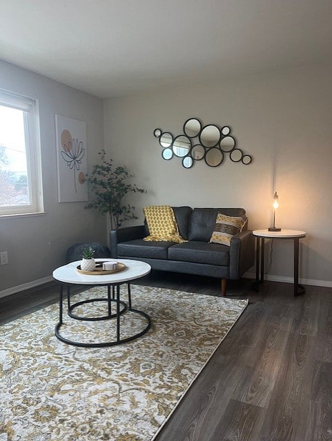 Furnished Finder property 835011_1 photo 11