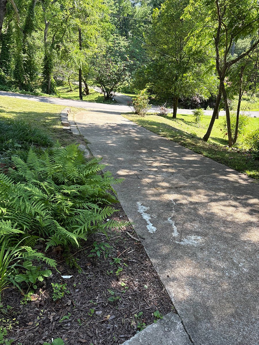 Private entry and driveway for Basement Suite tenant