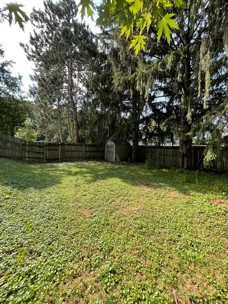 Furnished Finder property 835115_1 photo 19