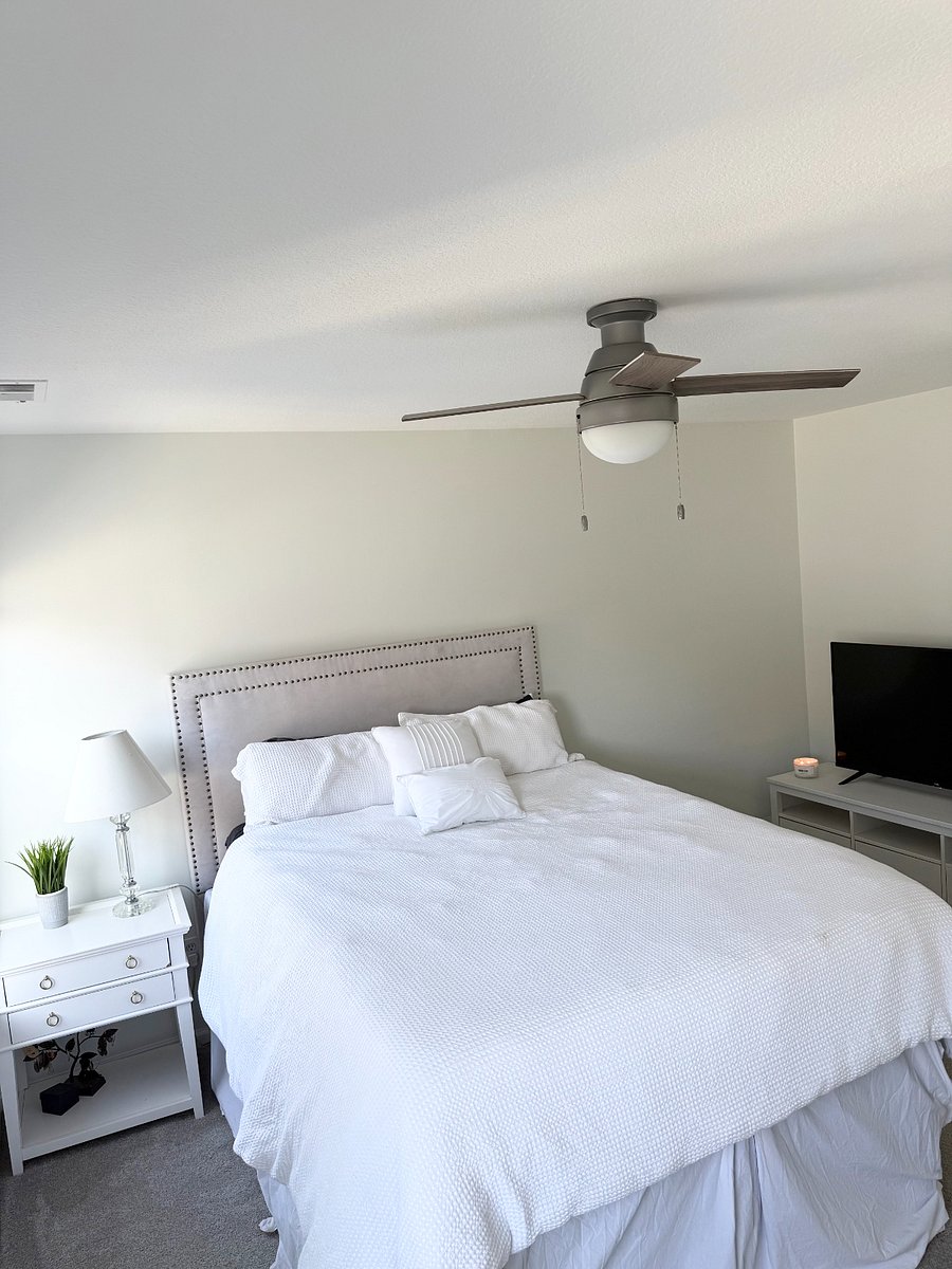 Furnished Finder property 835217_1 photo 5