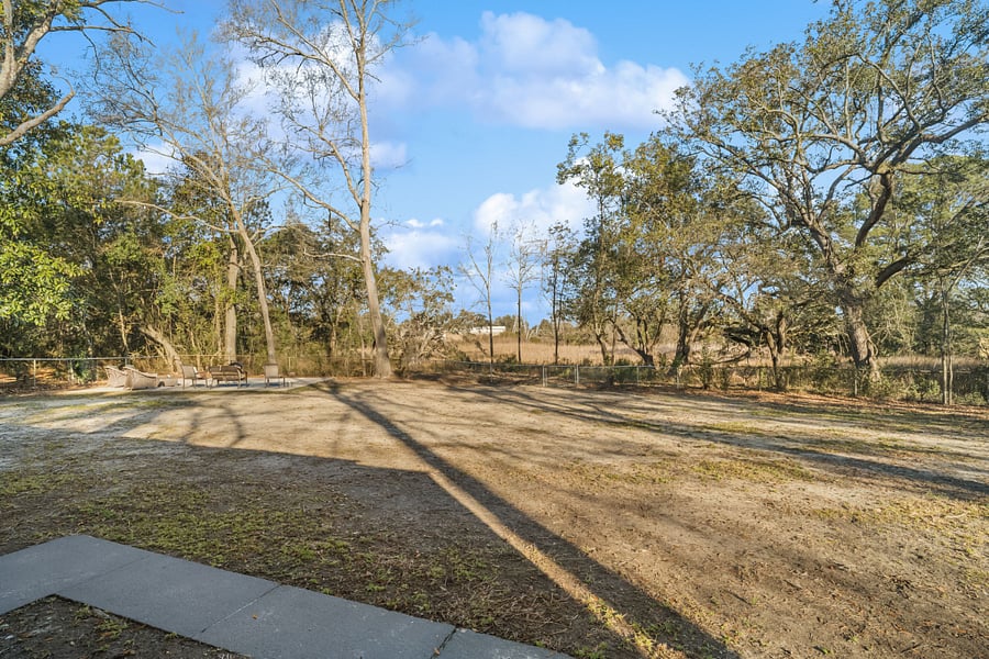 backyard marsh view