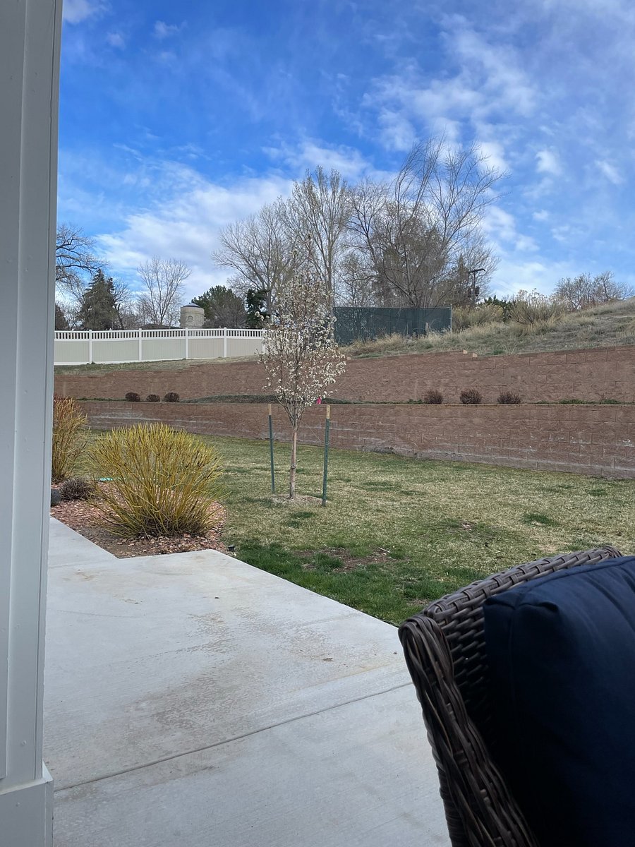 Furnished Finder property 835253_1 photo 27