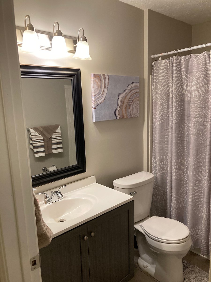 Furnished Finder property 835319_1 photo 11