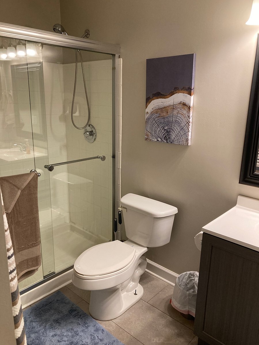 Furnished Finder property 835319_1 photo 15