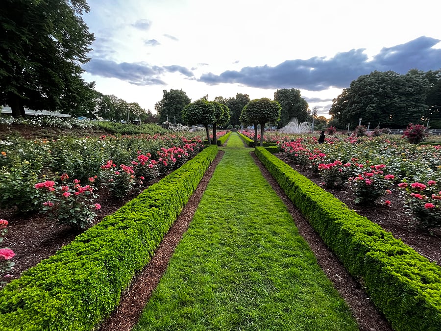Peninsula Park Rose Garden