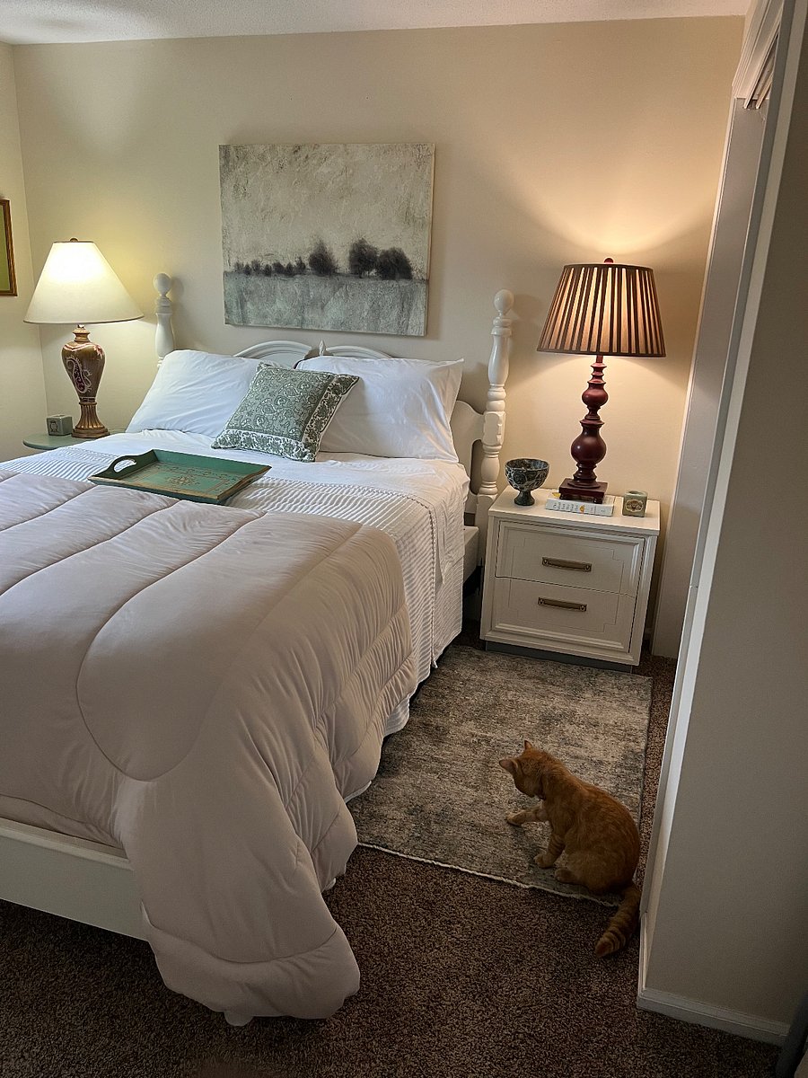 2nd bedroom with queen bed