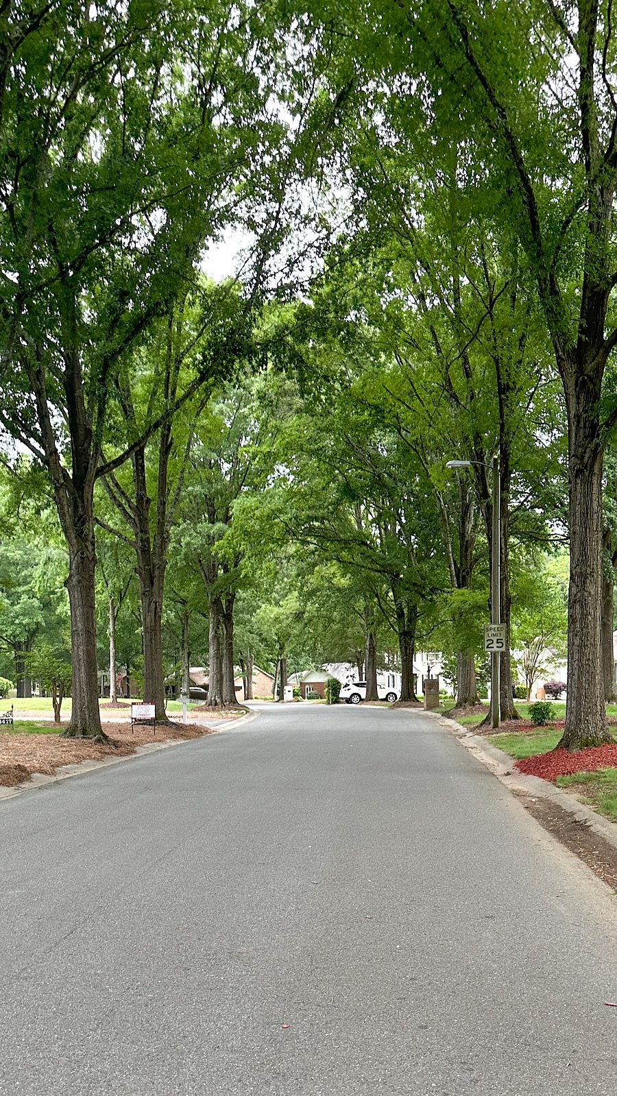 Tree lined Residential community