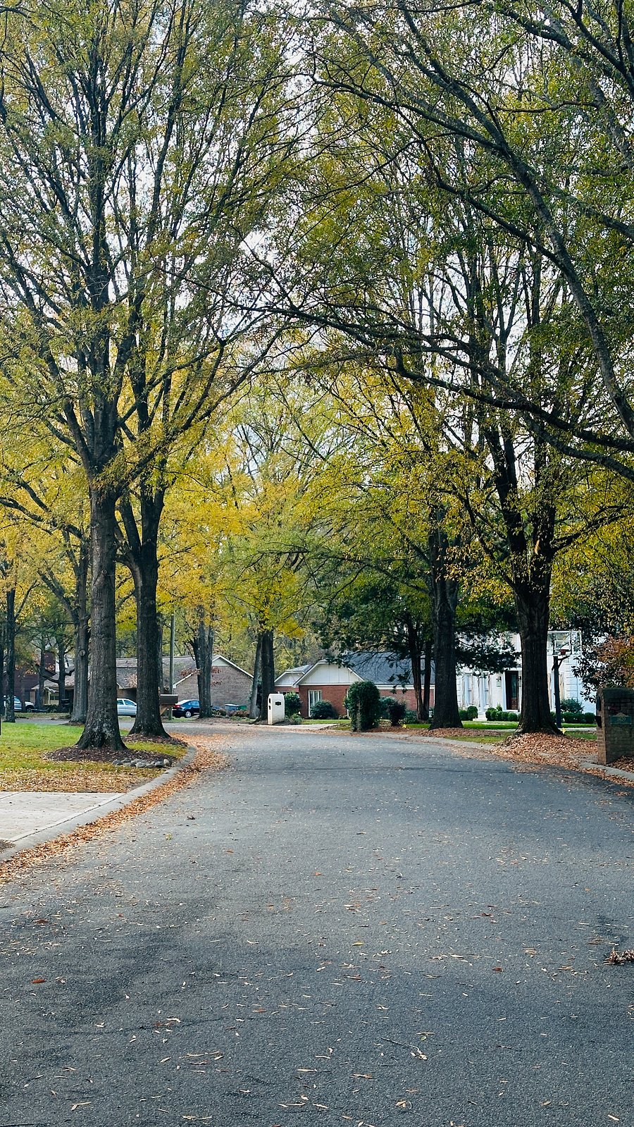 During Fall Season