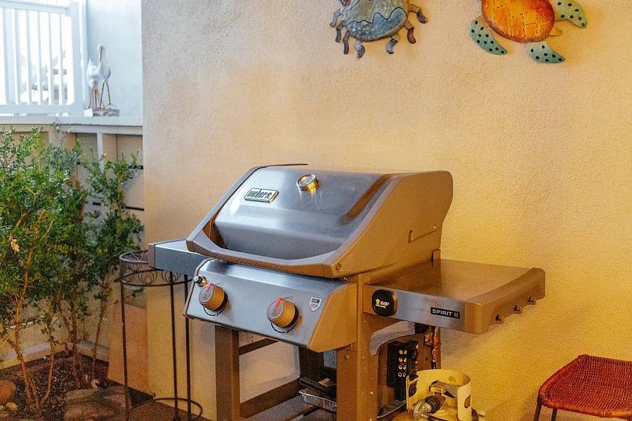 Ready to grill!