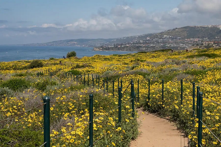 Step out and walk up the road to the Dana Point Nature reserve trailhead!