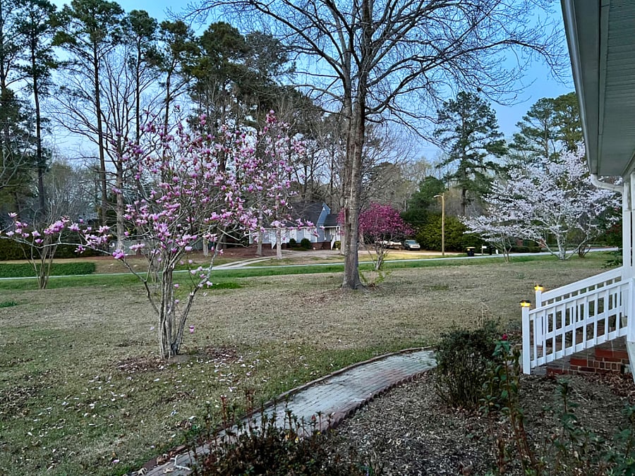 Furnished Finder property 835801_1 photo 24