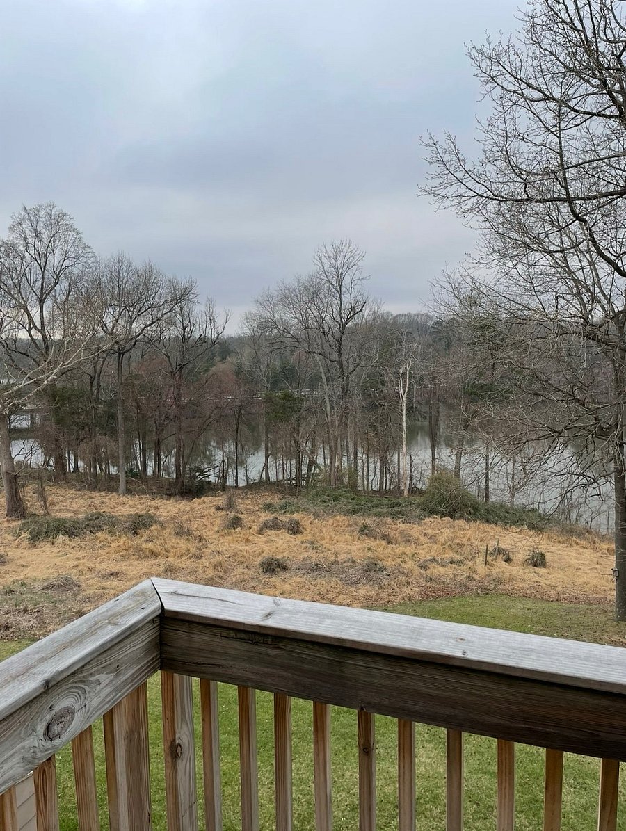 Furnished Finder property 835832_1 photo 13
