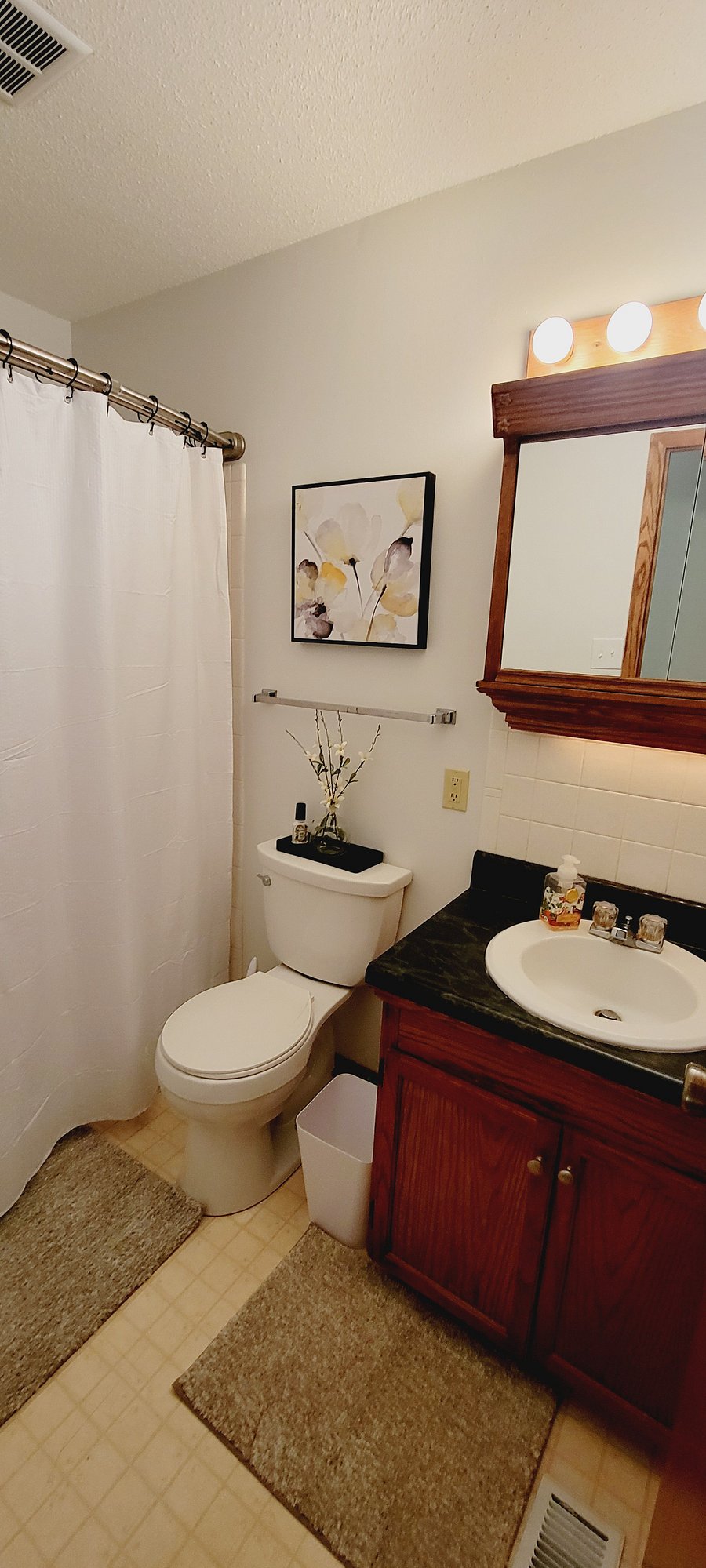 Hallway full bathroom: shower/tub combo, vanity, medicine cabinet, toilet, cleaning products