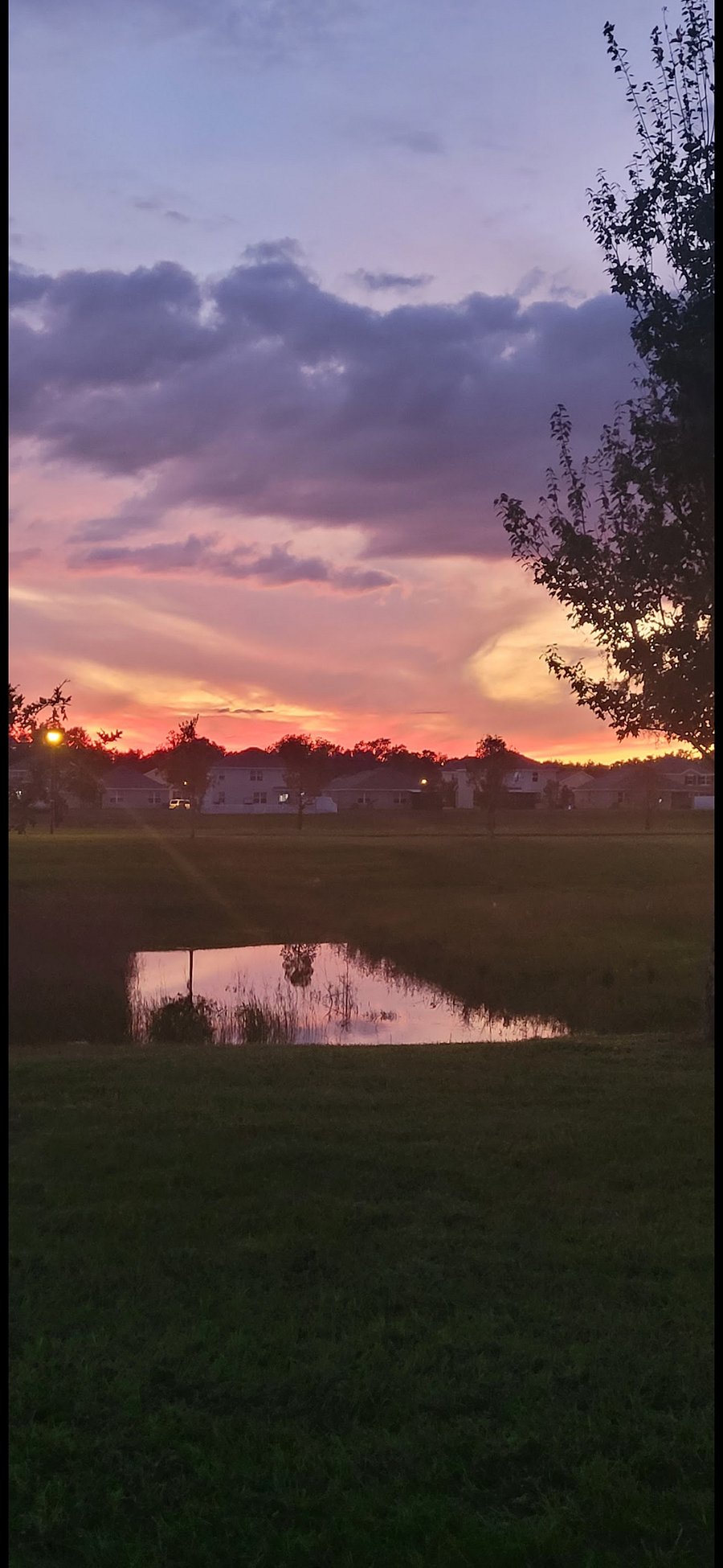Sunsets on the back porch