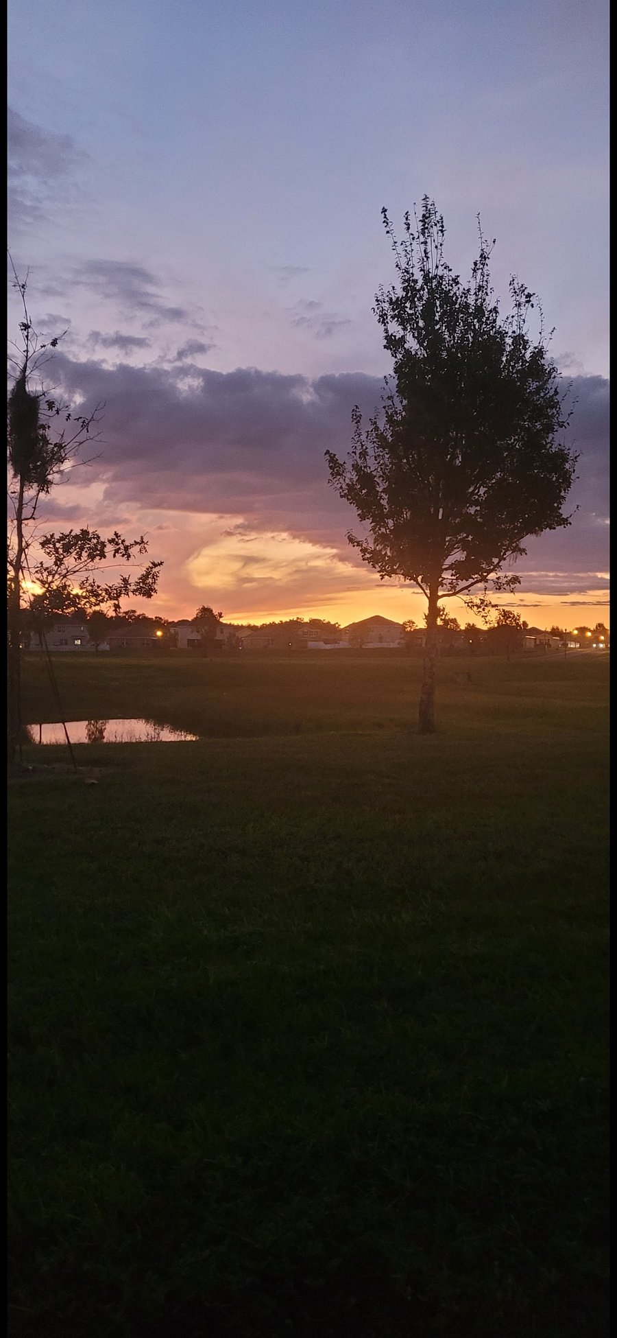 Sunsers