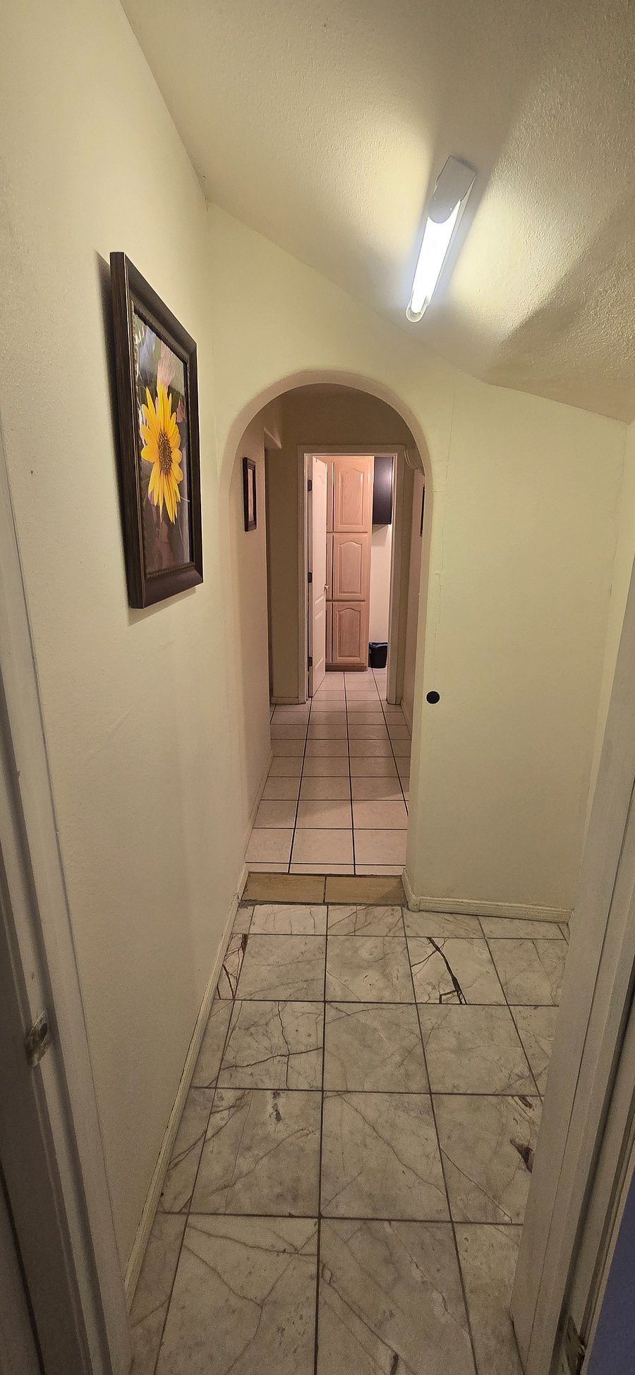 Furnished Finder property 836509_1 photo 55