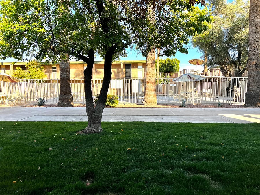 View of pool.
