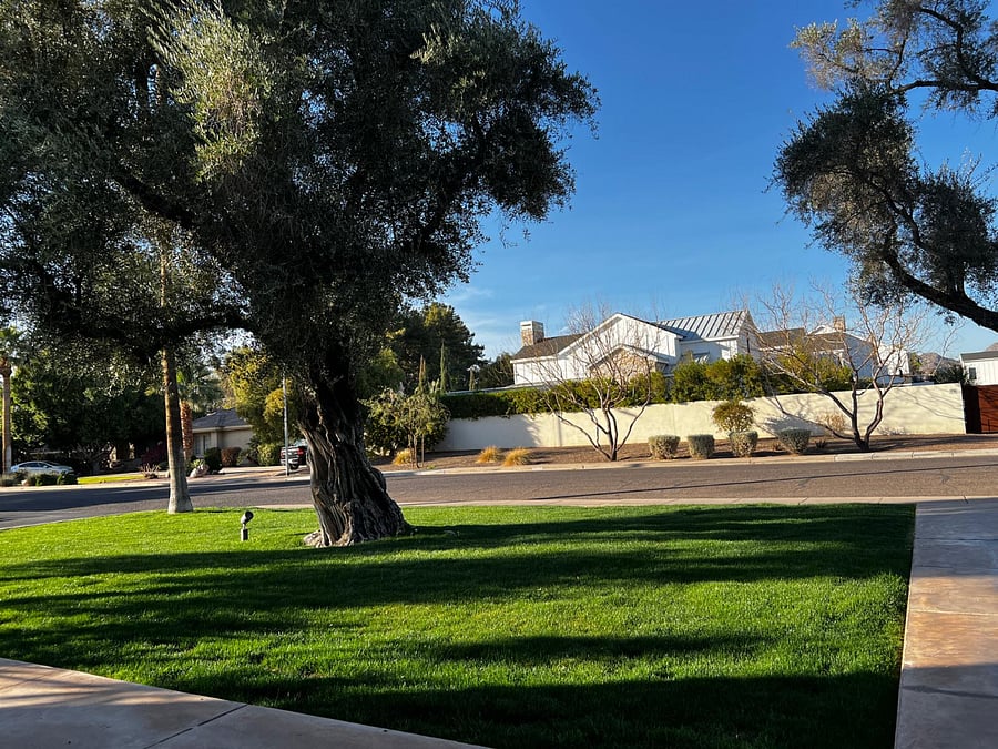 Street view of complex.