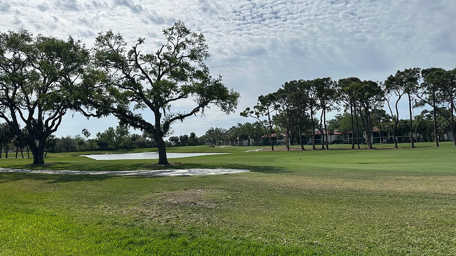 View 4th TEE IMG