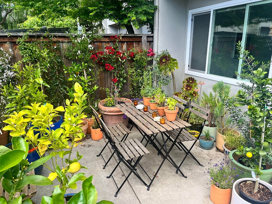 Furnished Finder property 837010_1 photo 8