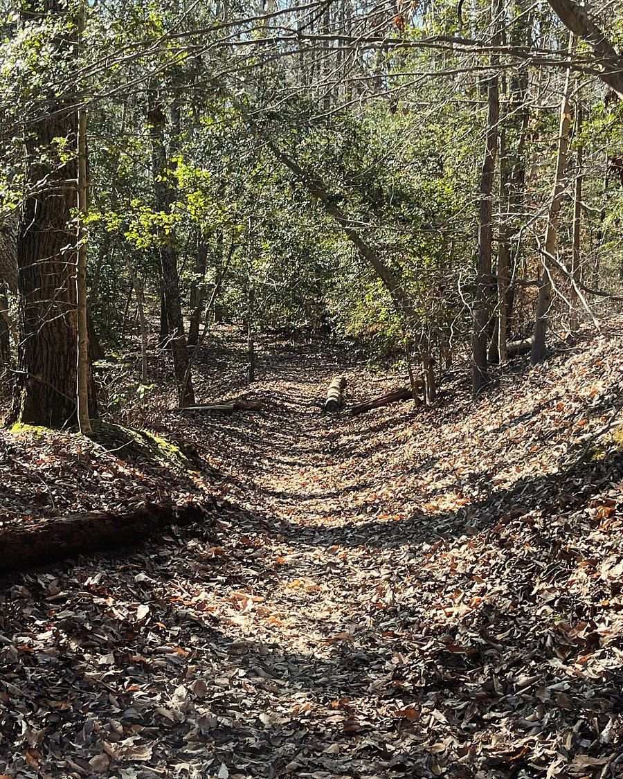 Walking trails 100 yards from the house