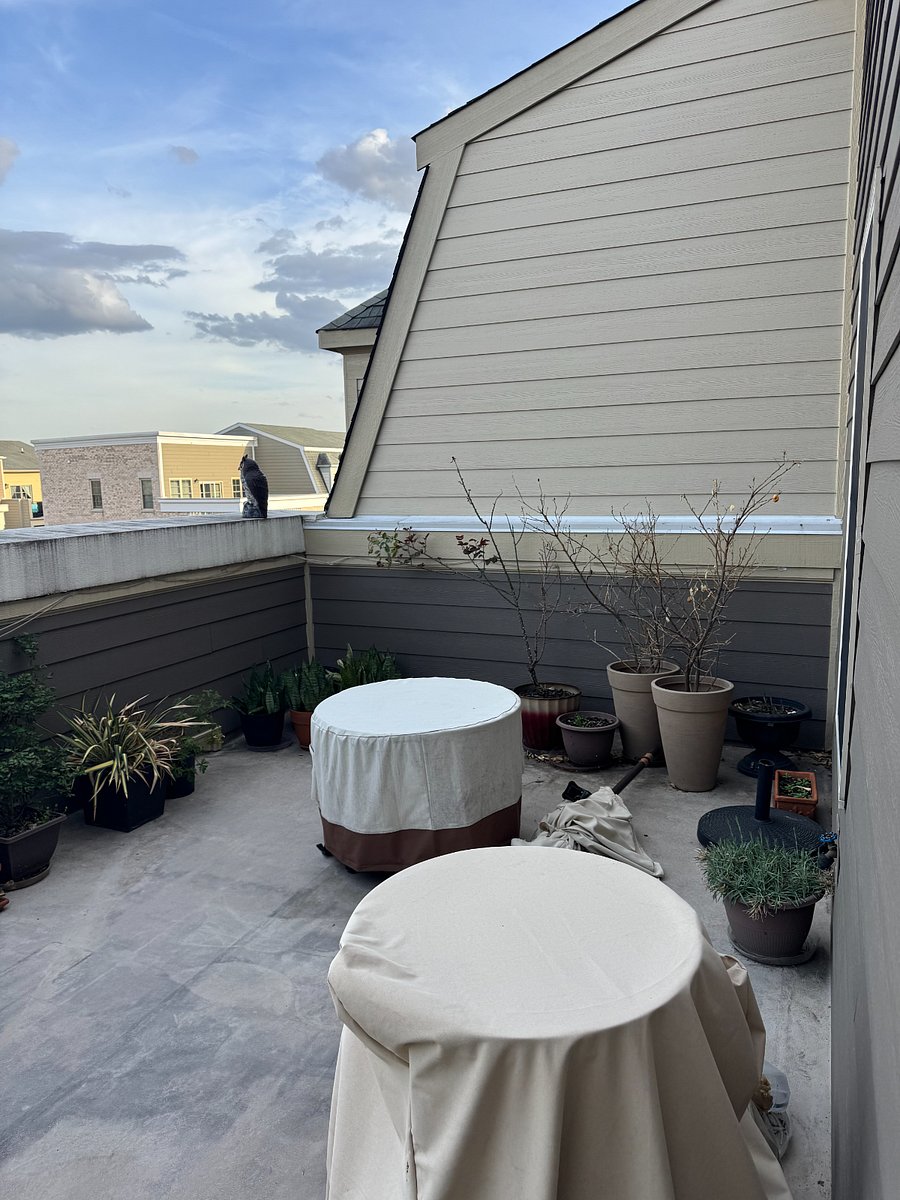 Furnished Finder property 837201_1 photo 4